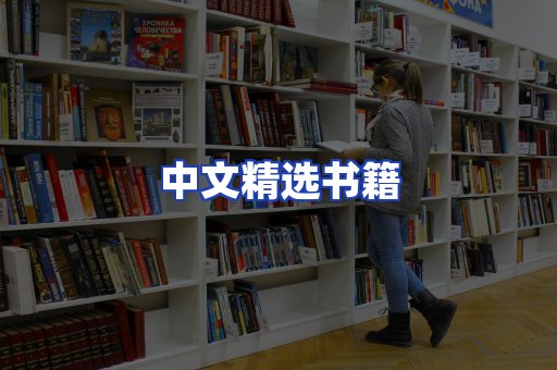 中文精选书籍